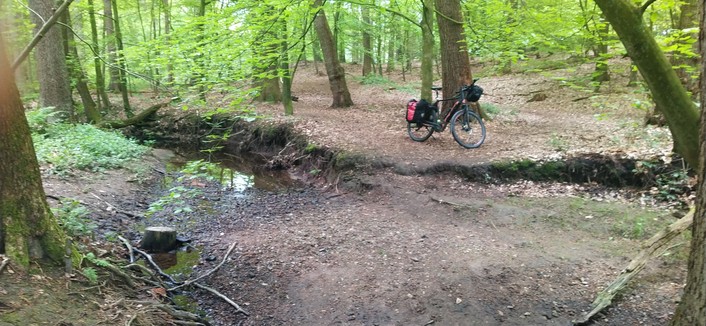 Ein schmaler Bach fließt durch den Wald. Am anderen Bachufer steht mein Fahrrad.