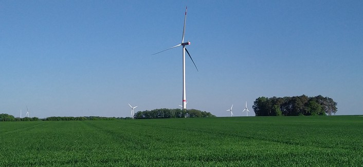 Eine neugebaute Windkraftanlage ungefähr 10 bis 20 mal so groß, wie die alten kleinen, die darunter stehen. im Vordergrund saftig grünes Kornfeld im Wachsen. im Hintergrund blauer Himmel.