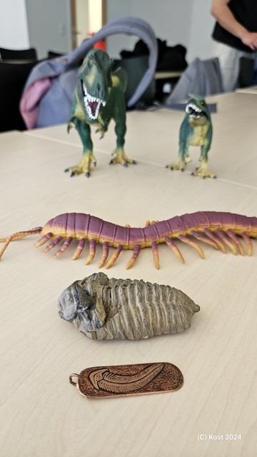 Fossilien und zwei Dinosauriermodelle auf Tischen.