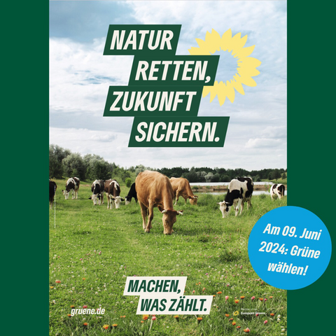 Plakat mit Kühen auf einer Wiese und dem Text: „Natur retten, Zukunft sichern. Machen, was zählt. gruene.de“ in blauem Kreis Text: „Am 09. Juni 2024: Grüne wählen!“