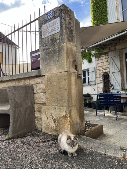 Josette a beige cat in front of a beige stone pillar with a sign saying Villa des Roses on it. House behind to the right. Concrete bench to the left.