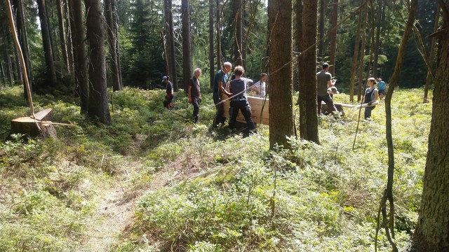 Wald mit Sonne auf grünen Bodenbewuchs (Heidelbeeren)./Menschen stehen und arbeiten an einer Holzwand, die später in den Graben eingelassen wird.