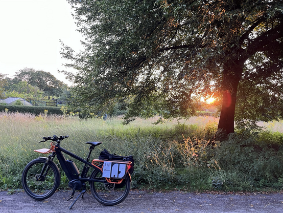 Ein Fahrrad mit #natenoms Logo am Gepäckträger steht vor einer Linde, durch deren Äste der Sonnenaufgang zu sehen ist. 