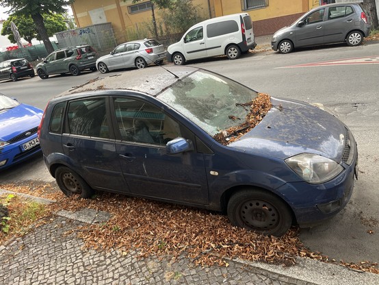 An abandoned FOrd Fiesta. It is covered in leaves and grime