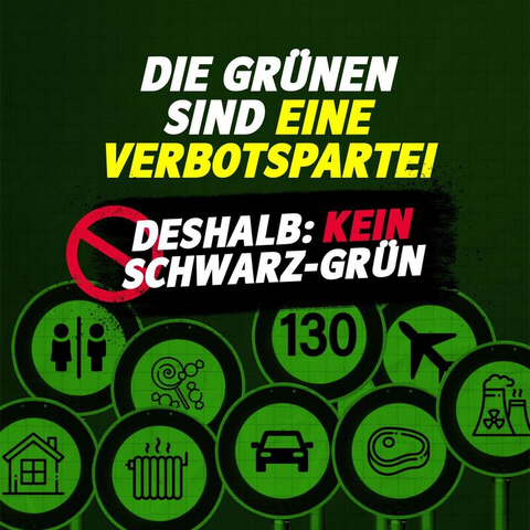 DIE GRÜNEN SIND EINE VERBOTSPARTEI

DESHALB: KEIN SCHWARZ-GRÜN